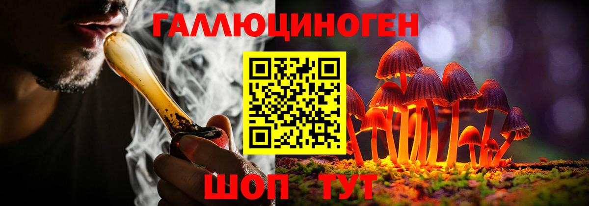 Сорочинск  Псилоцибиновые грибы Psilocybine cubensis  Вход с VPN  Галлюциногенные грибы MAGIC MUSHROOMS 
