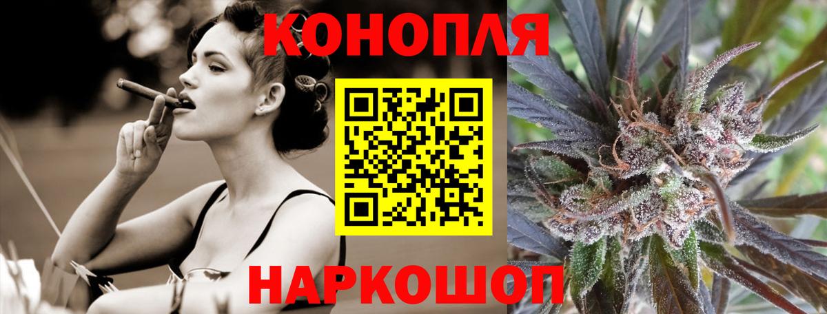 Конопля гибрид  Вход с VPN  Сорочинск  Каннабис индика 